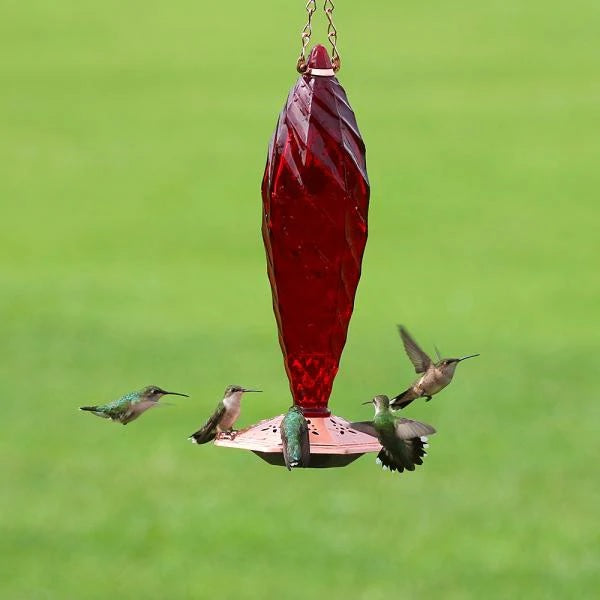 hummingbird feeders glass	