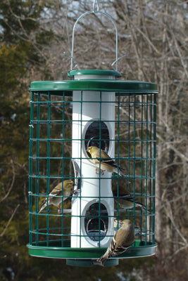 Mixed Seed Feeder - 11" Diameter Cage