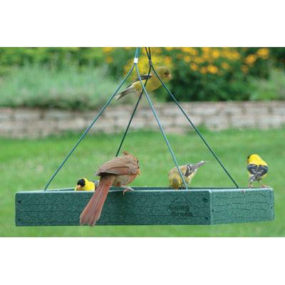 Going Green™ Platform Feeder — The Bird Shed