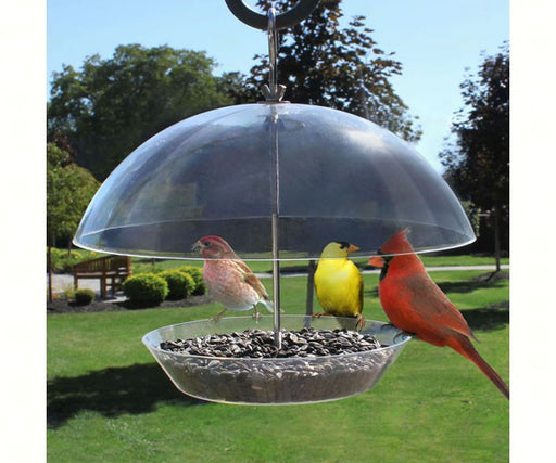 Observatory Dome, bird feeder with dome