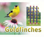 Goldfinch Sign