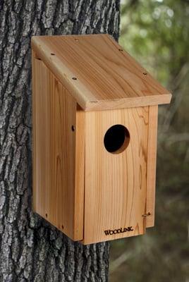 Cedar Woodpecker House - The Bird Shed
