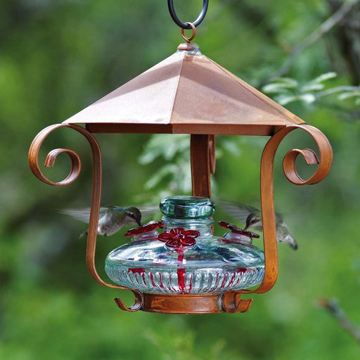 Artistic Hummingbird Feeders: Par-A-Sol - BLOOMSHAQ - Bloom Shelter - Aqua - The Bird Shed