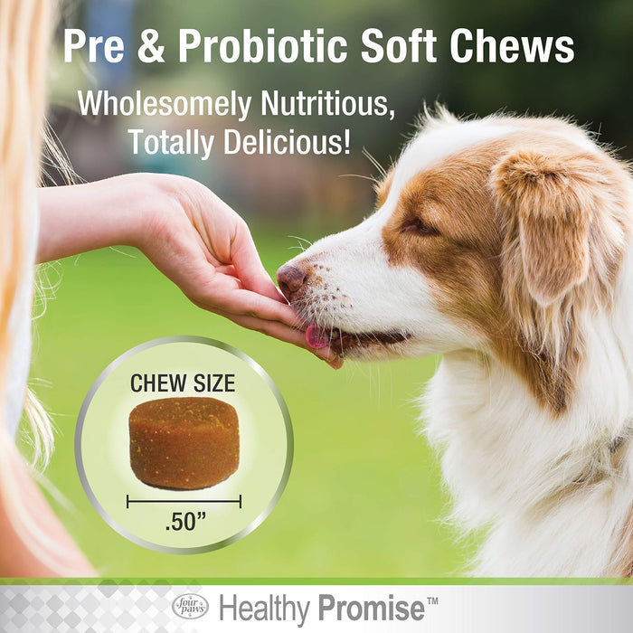 HEALTHY PROMISE PRE-PROBIOTIC CHEW FOR DOGS