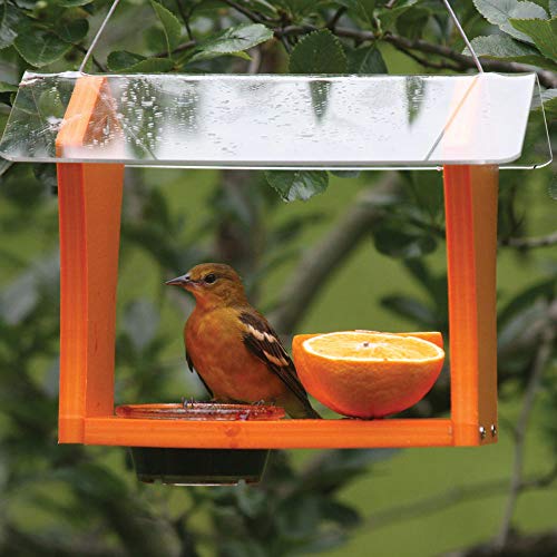 Birds Choice GSOF Bird Feeders, Oriole Feeder, 10.5" L X 8.75" W X 7.625" H, Orange/Clear