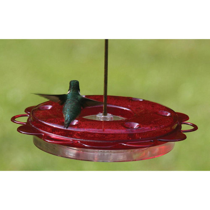 Birds Choice Hummerfest Hummingbird Feeder-12 oz. with 6 Nectar Ports
