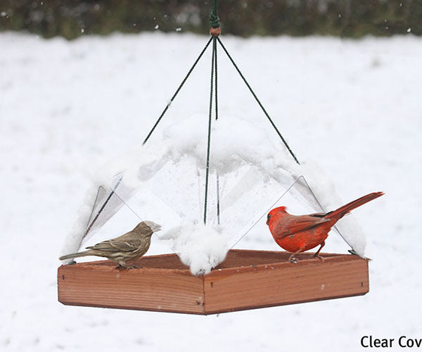 Platform Bird Feeders: 12 x 12 Clear Cover
