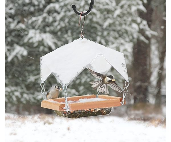 Platform Bird Feeders: Crystal Clear