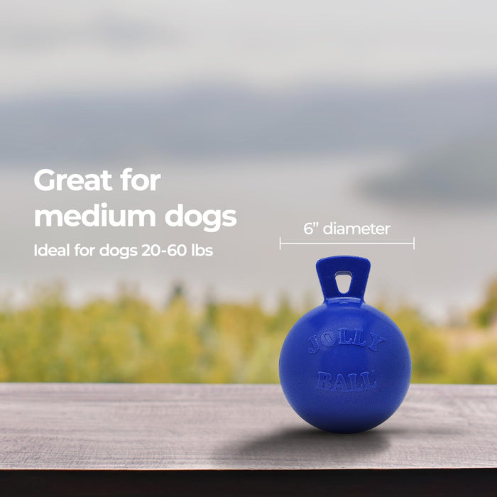 JOLLY PETS TUG-N-TOSS BALL