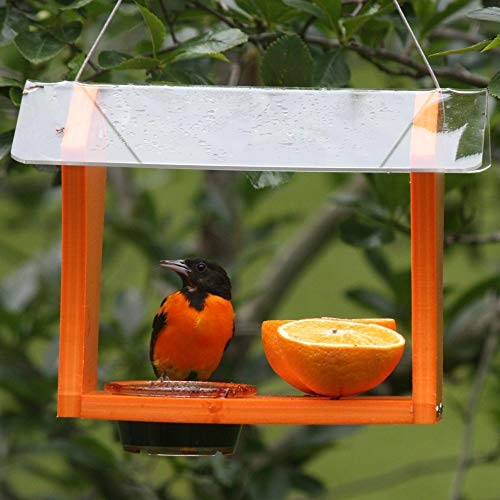 Birds Choice GSOF Bird Feeders, Oriole Feeder, 10.5" L X 8.75" W X 7.625" H, Orange/Clear