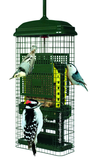Squirrel Buster Suet Squirrel-Proof Suet Bird Feeder with Two Suet Cake Trays, Two Crumb Ports, Mess-Free Suet Loading, Durable Green Design for Clinging Birds