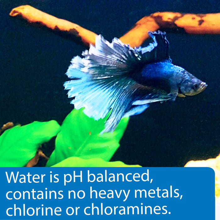 API BETTA WATER