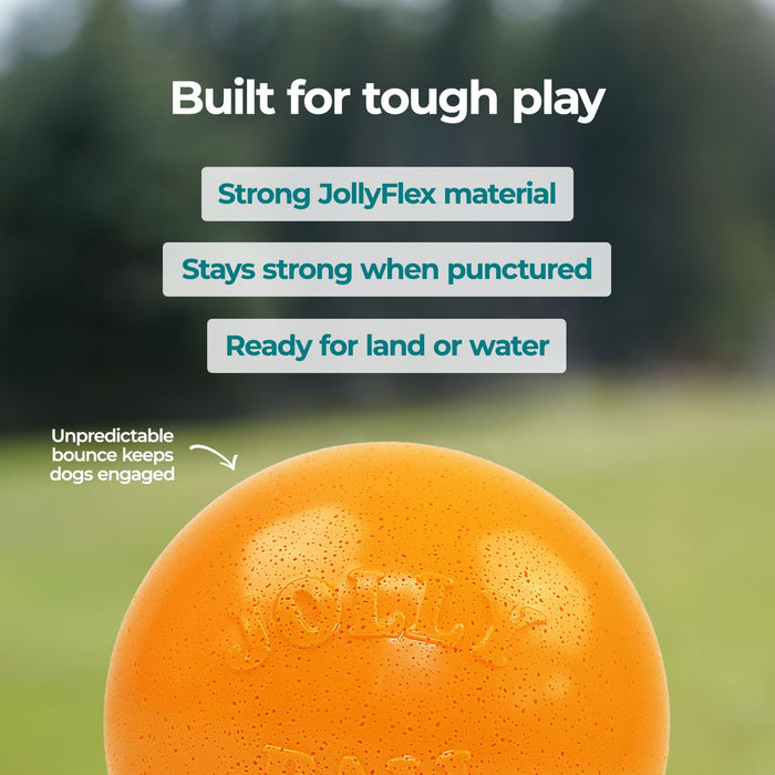 JOLLY PETS BOUNCE-N-PLAY BALL