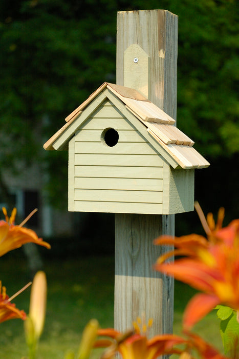 Heartwood Cape Cod Wren House - Celery