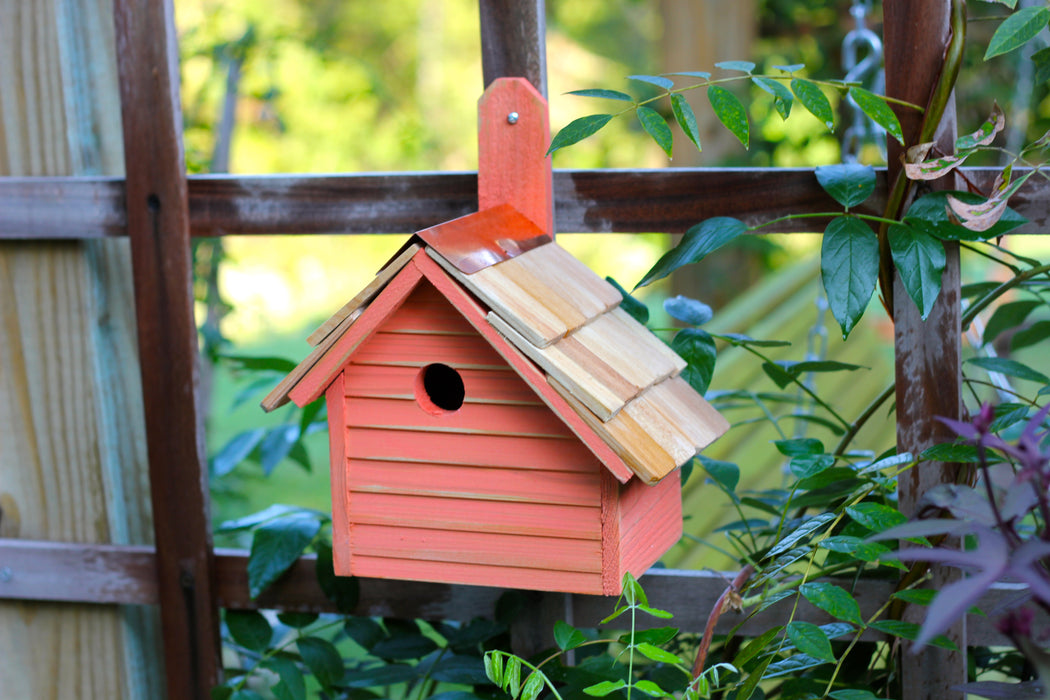 Heartwood Cape Cod Wren House - Mango
