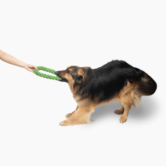 JOLLY PETS KNOT N CHEW TIK TAK TUGZZ O