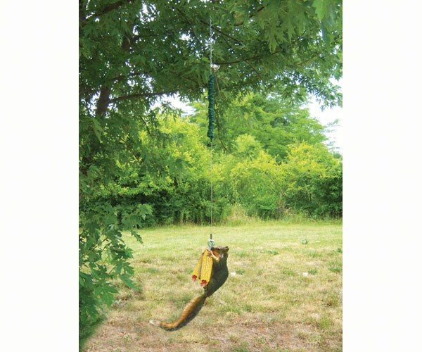 WILDLIFE FEEDERS & HOUSES: Squngee Deluxe