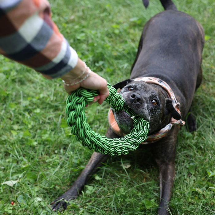 JOLLY PETS KNOT N CHEW TIK TAK TUGZZ O