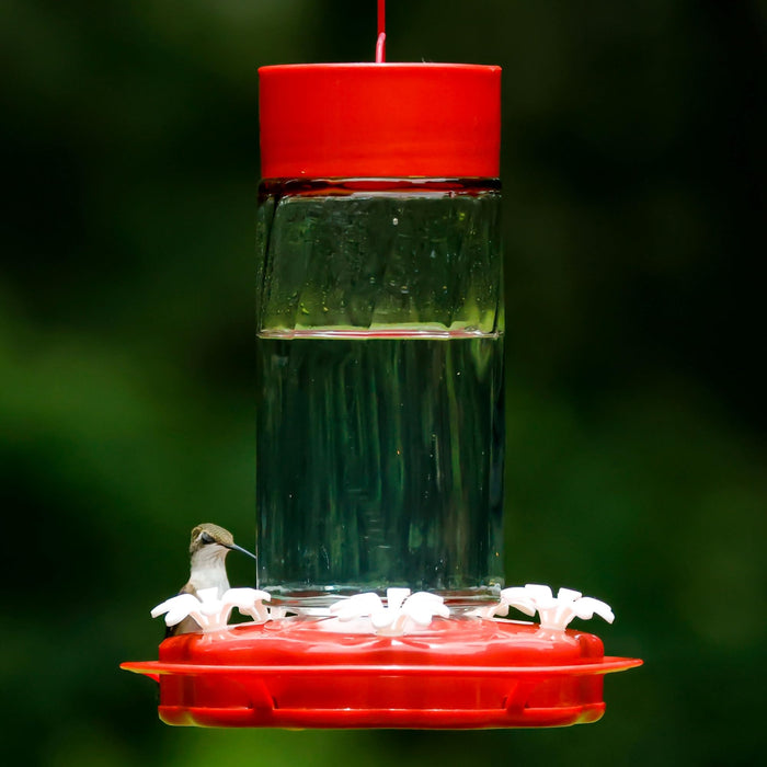 SCARLET SWIRL GLASS HUMMINGBIRD FEEDER