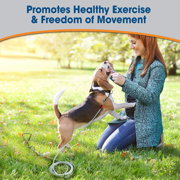 FOUR PAWS WALK-ABOUT TIE-OUT CABLE SUPER WEIGHT