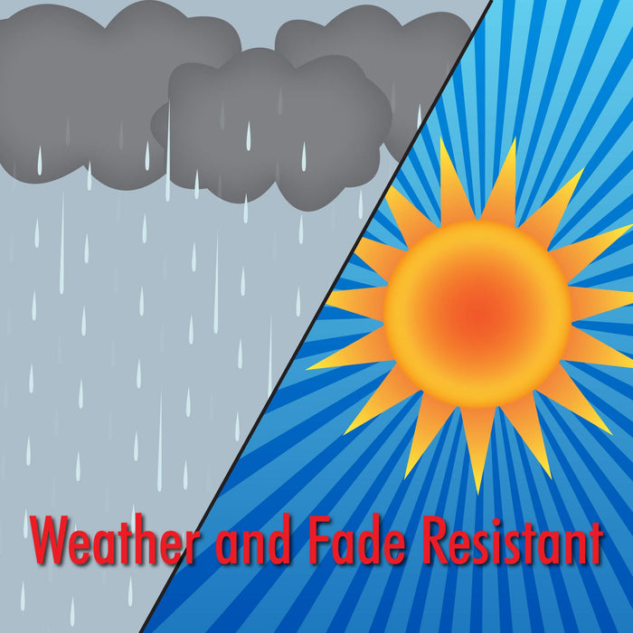 48 Fishsock Rainbow Fishy