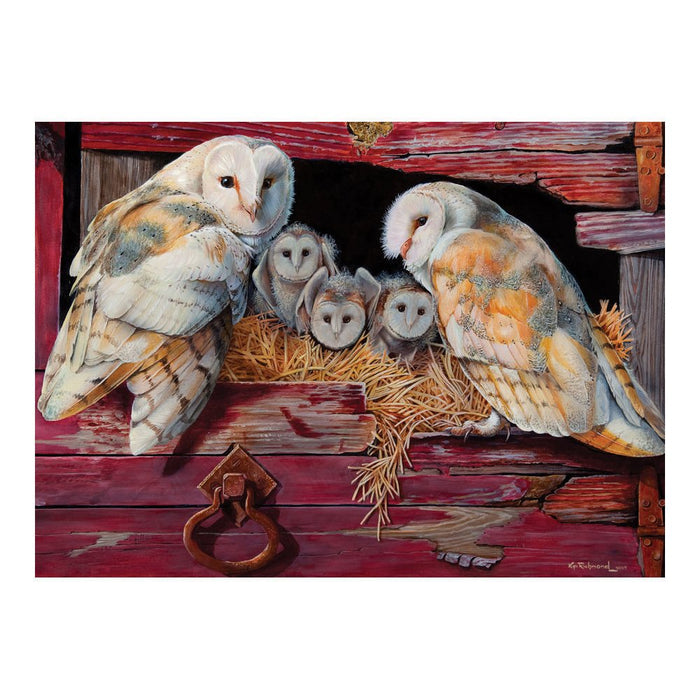 Barn Owls 1000pcs