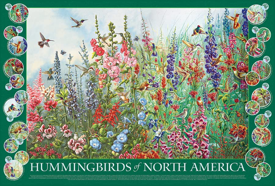 Hummingbirds of NA Puzzle 2000