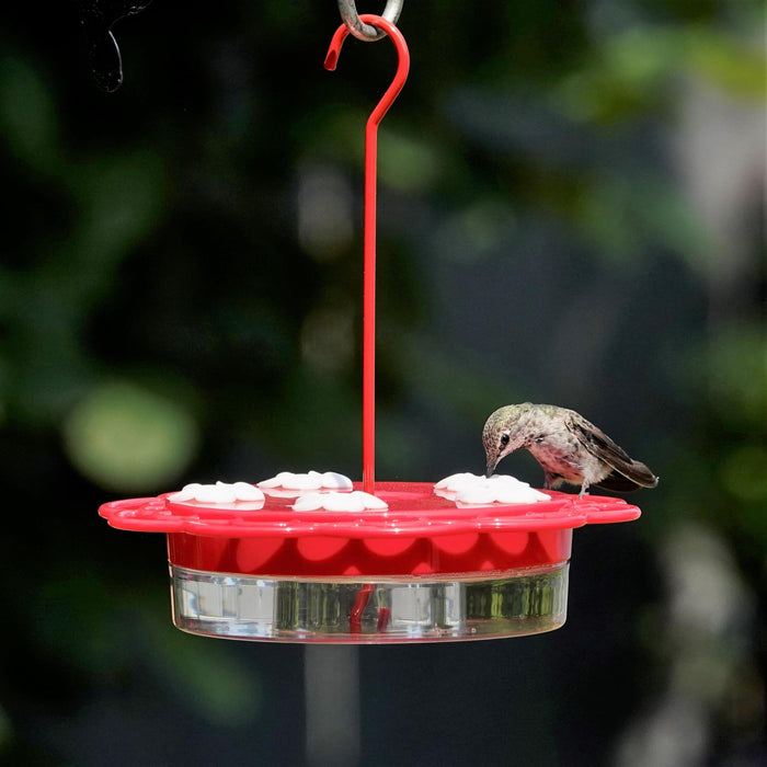 2-N-1 PLASTIC DISH HUMMINGBIRD FEEDER