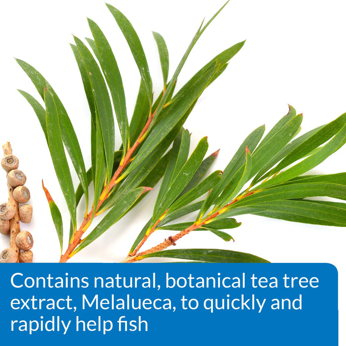 API MELAFIX FISH REMEDY