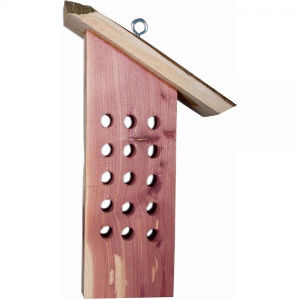 Tree Icing Feeder