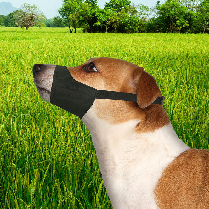 FOUR PAWS WALK ABOUT QUICK FIT DOG MUZZLE