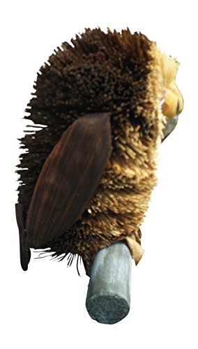 Owl On Branch