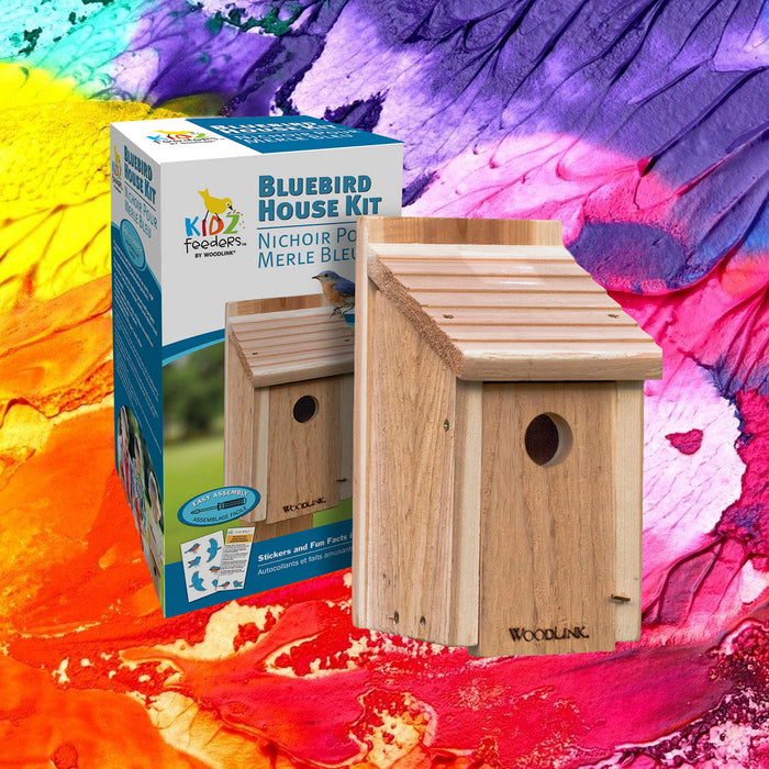 AUDUBON DIY CRAFT KIT BLUEBIRD HOUSE