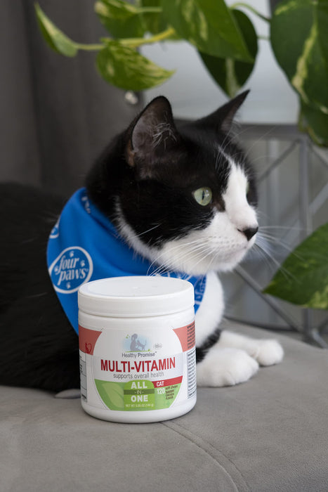 HEALTHY PROMISE MULTI VITAMIN CHEW FOR CATS