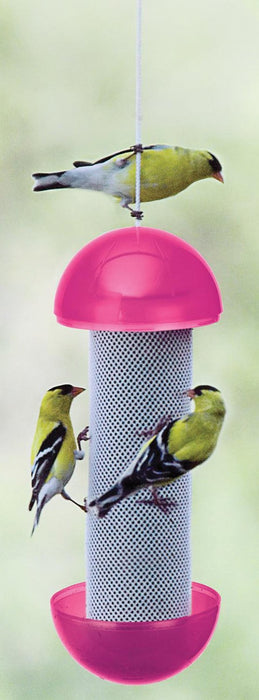 Audubon Have- A- Ball Feeder