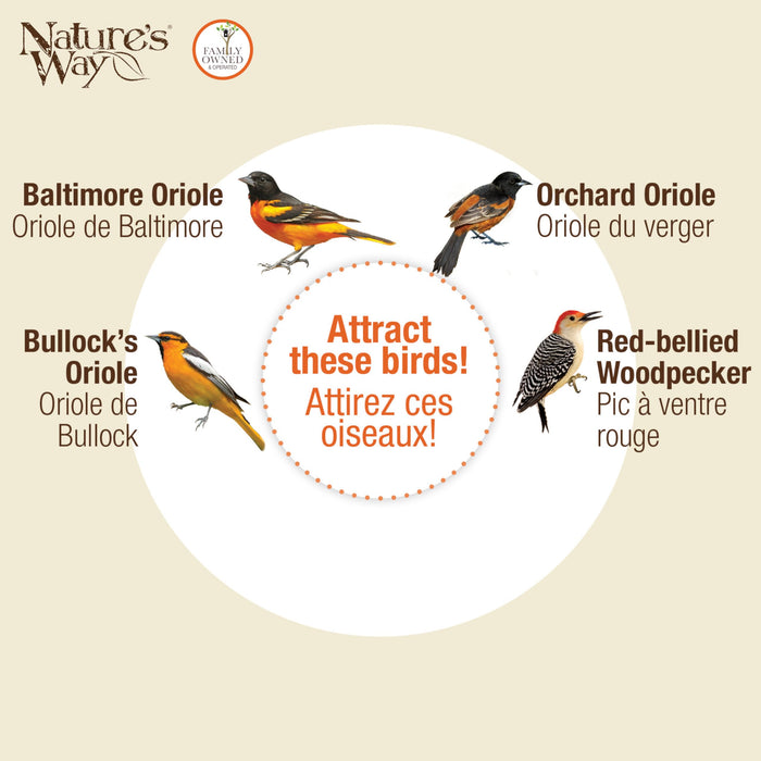 ORANGE BLOSSOM GLASS ORIOLE FEEDER