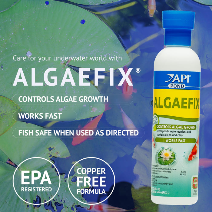 API POND ALGAEFIX