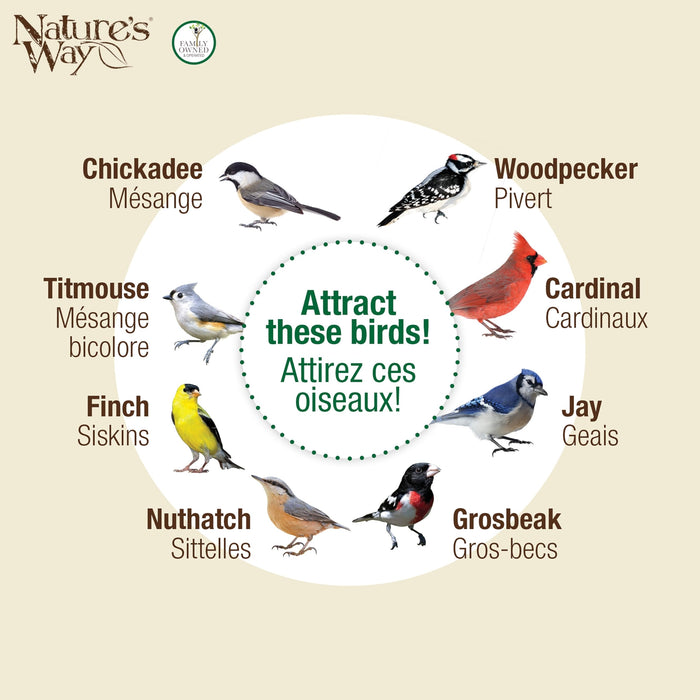 BELOVED BRONZE DUAL-CHAMBER METAL MESH BIRD FEEDER
