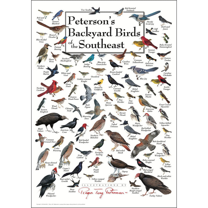 Peterson's Backyard Birds of Southeast Poster