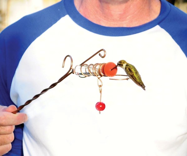 Whimsy Wand Hummingbird Feeder