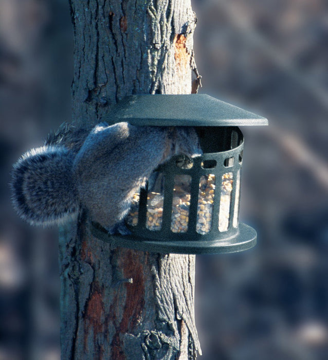 AUDUBON SQUIRREL DINER 2 FEEDER