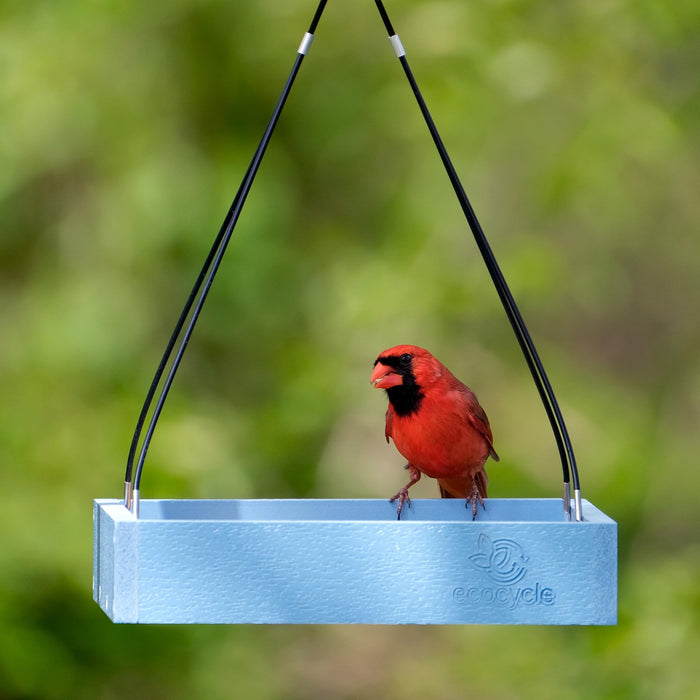 ECOCYCLE PERFECT PICNIC PLATFORM FEEDER