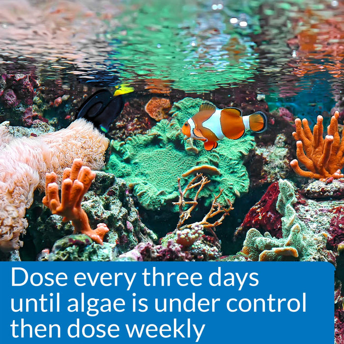 API ALGAEFIX MARINE