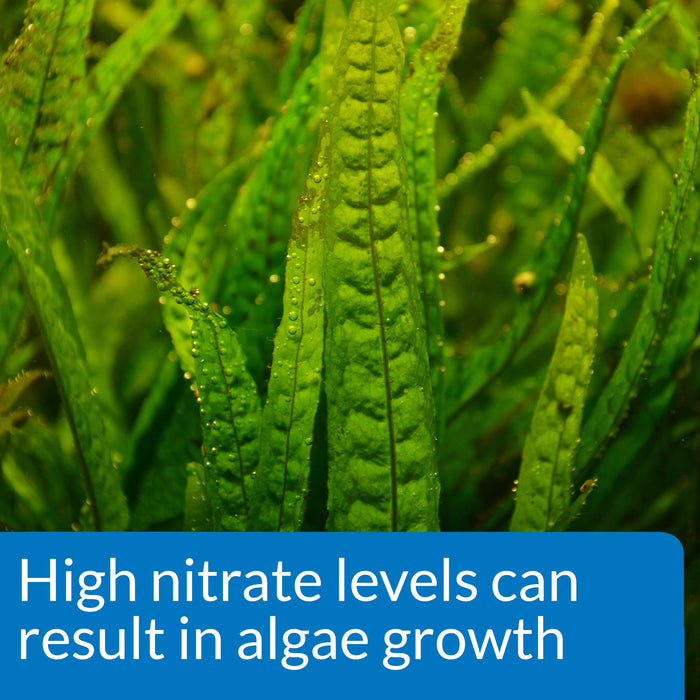 API NITRATE TEST KIT FOR FRESH & SALTWATER