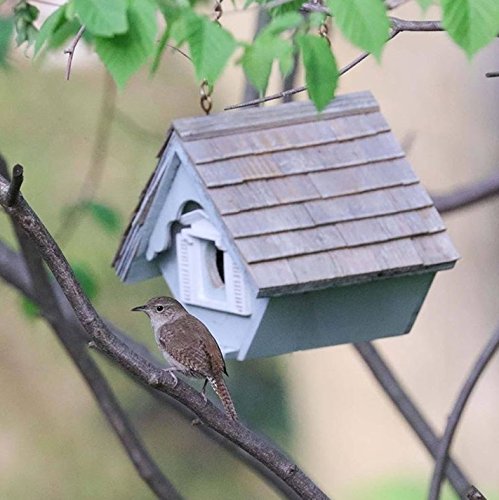 Little Wren House - White