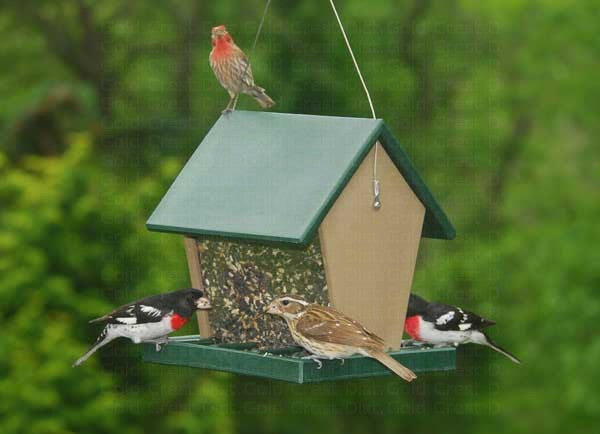 Hopper Bird Feeders: Recycled Plastic Large Hopper Feeder