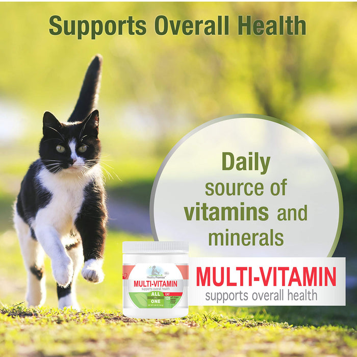 HEALTHY PROMISE MULTI VITAMIN CHEW FOR CATS