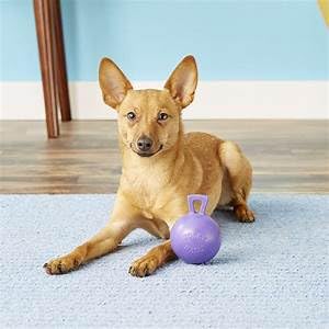 JOLLY PETS TUG-N-TOSS BALL
