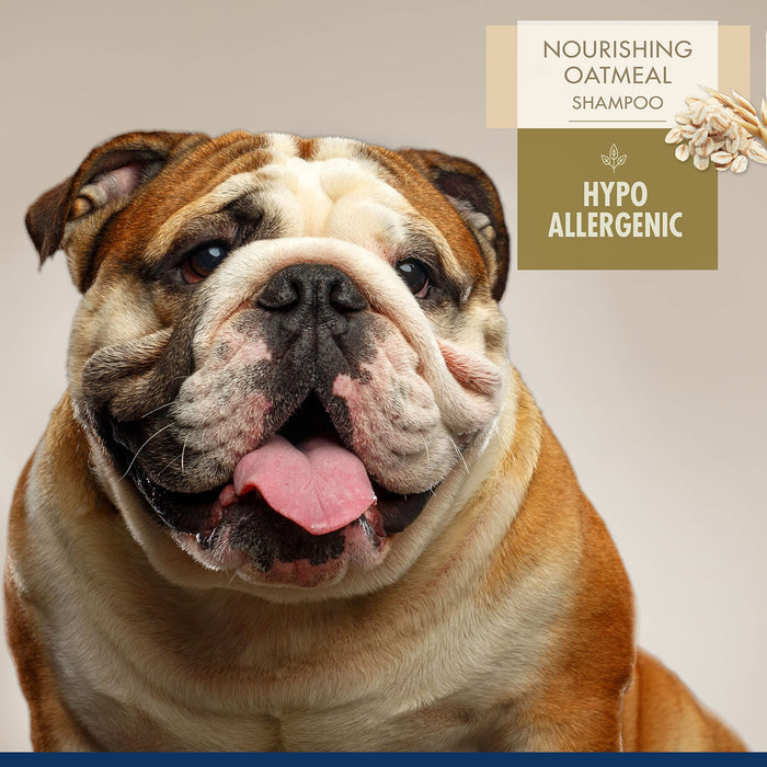 MAGIC COAT PRO SERIES HYPO ALLERGENIC SHAMPOO