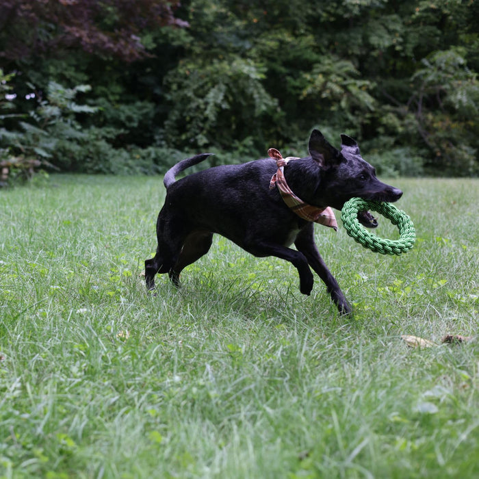 JOLLY PETS KNOT N CHEW TIK TAK TUGZZ O